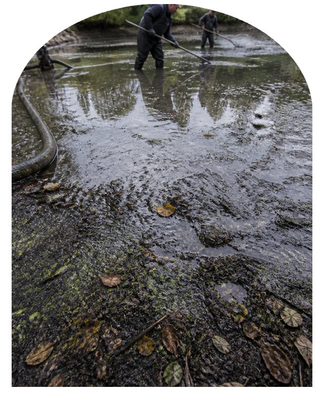 Очистка пруда в Донском от ила мусора и водорослей с вывозом